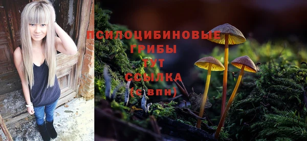 прущие грибы Алексин